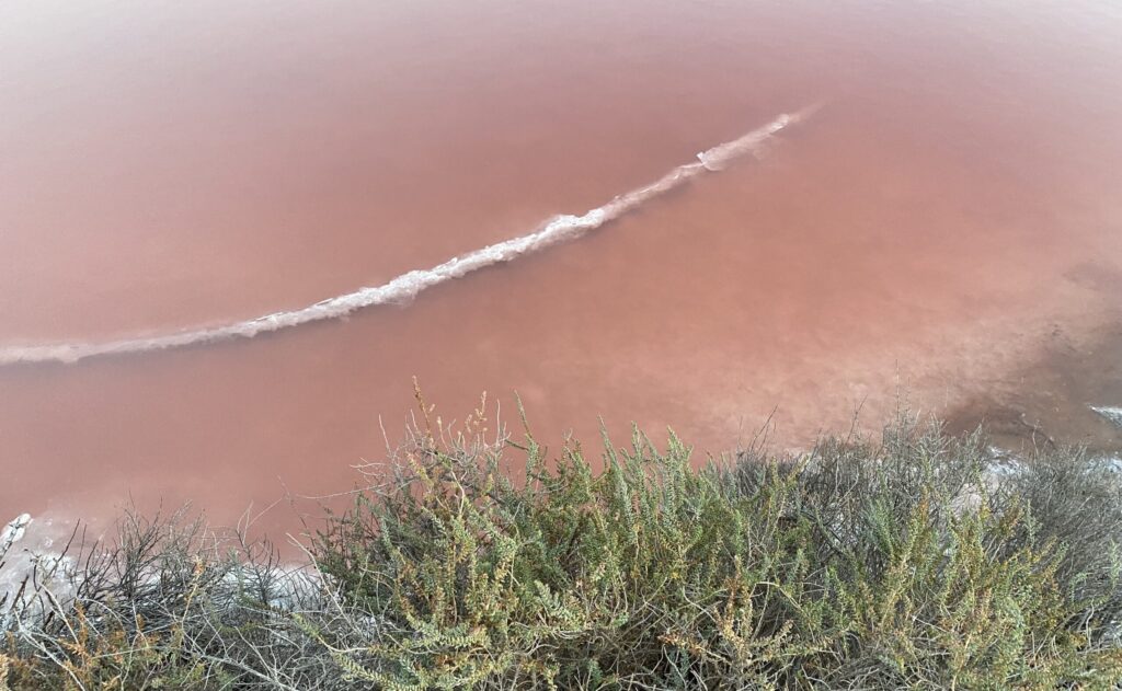 salin de giraud arles france