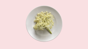 elderflower sambuco foraging single ingredient dish vertical menu